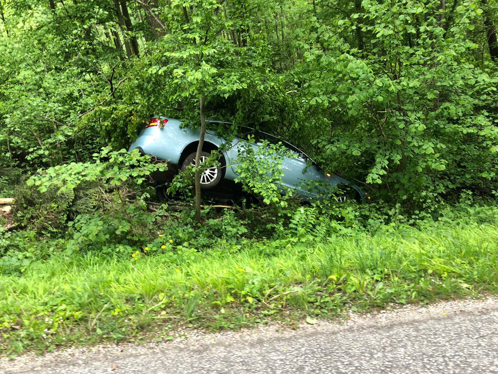 Foto: Der verunglückte PKW verschwindet fast in den Büschen neben der Straße